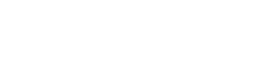 Phoenix Dataworks